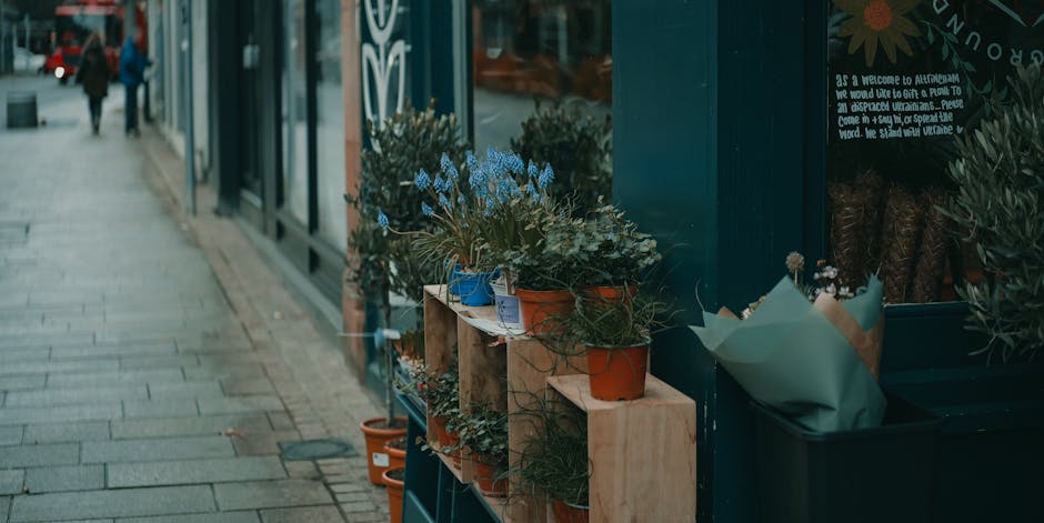 A row of potted plants, including blue and terracotta pots filled with leafy green foliage and small flowering plants, arranged on wooden shelves outside a shop with large glass windows. The plants ap